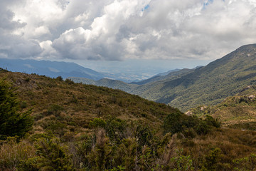 Fototapeta na wymiar Trilha no parque nacional de Itatiaia RJ