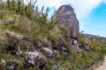 Trilha no parque nacional de Itatiaia RJ