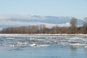 Hiking at barnston island in winter