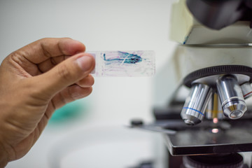 Scientists are preparing specimens for cytology to check for abnormalities in cells.