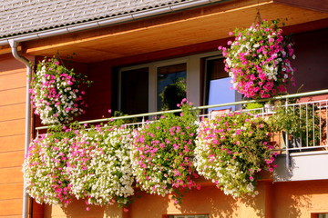 Fototapeta na wymiar Haus und Garten, Sommerbepflanzung mit Petunien und Geranien an einem Balkon in Österreich