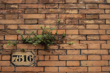 Brick wall with number 7516