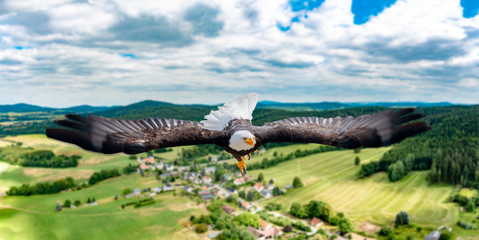Fototapete bei efototapeten.de bestellen   
