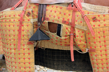 protection du cheval