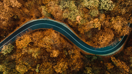 Aerial view of asphalt forest road,  winding road and colourful autumn foliage. Brown, yellow autumn colors