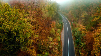Top view of roadway with autumn colors. Aerial view of curvy road in beautiful foggy autumn forest.
