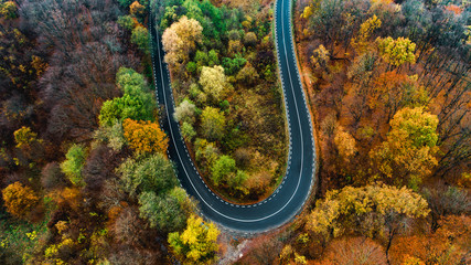 Beautiful aerial landscape of mountain forest road. Aerial view of curvy road in beautiful autumn forest. Top view of roadway with autumn colors