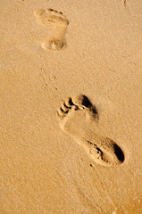 Footprints in the sand