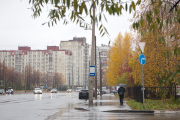 City road on a rainy autumn day