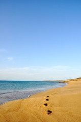 Footprints in the sand