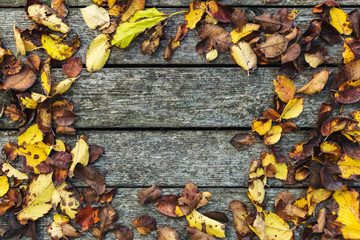 Frame made of autumn dried leaves on old dark wooden vintage background, barn board with moss. Autumn background composition. Fall, Copy space, flat lay, top view.