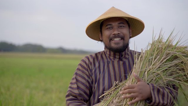 portrait of happy asian farmer with paddy rice grain during harvesting