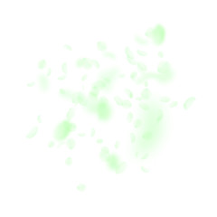 Green flower petals falling down. Authentic romant