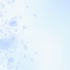Light blue flower petals falling down. Attractive 