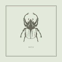 Beetle on a beige background in a realistic style. Drawn. Perfect for printing, interior, poster, brand, wall painting, printing on clothes, furniture items. Vector illustration.