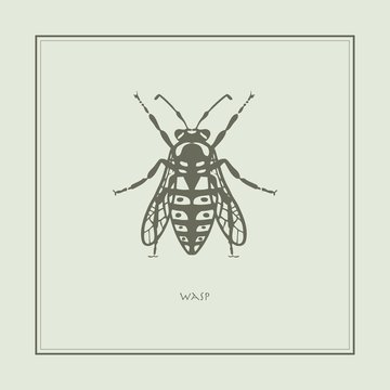 Wasp on a beige background in a realistic style. Drawn. Perfect for printing, interior, poster, brand, wall painting, printing on clothes, furniture items. Vector illustration.