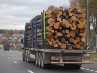 Heavy timber truck transports logs on a semi-trailer on a suburban asphalt highway on autumn day against a gray sky - commercial lumber import in Europe, wood trading