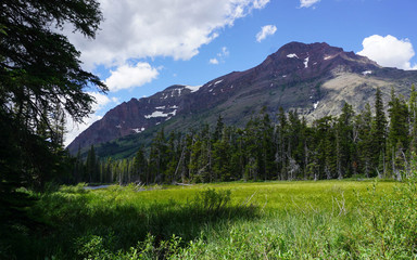 Montana Field