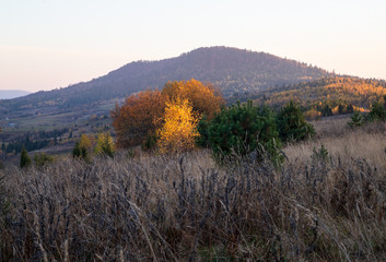 Autumn landscape on a mountain background