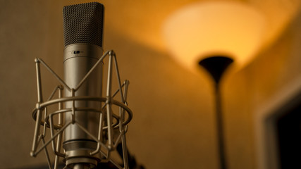 Microphone Images, Stock Photos & Vectors