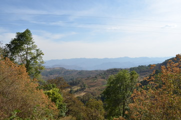 Montañas y bosque