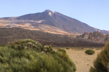 Park Narodowy Teide © Katarzyna Judycka