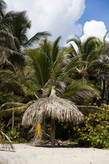 Sunshade on the tropical beach at Tayrona, Colombia