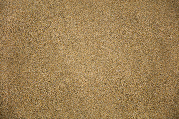 Beach sand surface texture
