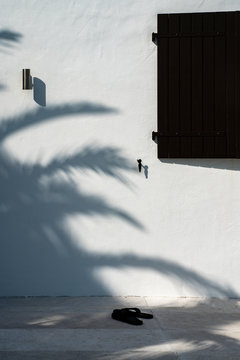 palm tree shade and flip flop on white wall vacation mood