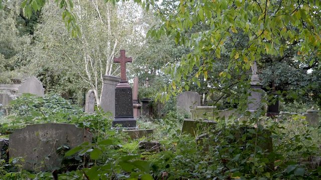 Cross in old Graveyard, overgrown spooky cemetery 