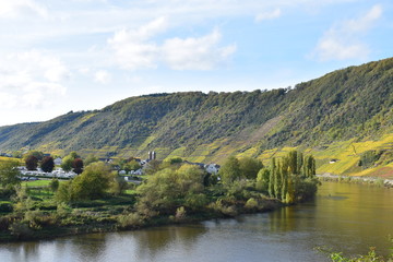 Moseltal bei Bruttig-Fankel im Hernst 2019