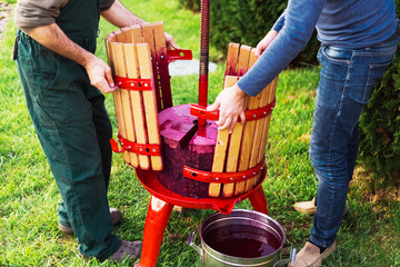 Winemakers open wine press machine with red must, helical screw after picking up juice from grape must. Concept of small craft business. Grape harvest. Special equipment for the winemaking.