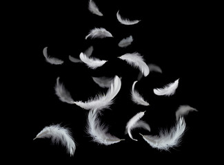 Soft white feathers floating in the air, black background