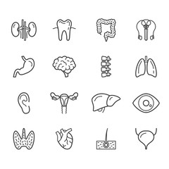 Human internal organs and body anatomy icons set