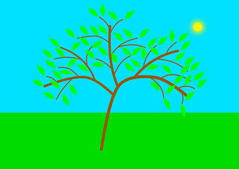 L'arbre au printemps