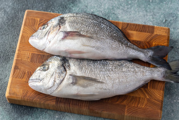 Fresh dorada on the wooden board