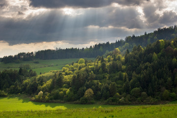 Obraz premium Light beams through clouds. Sun lit forest.