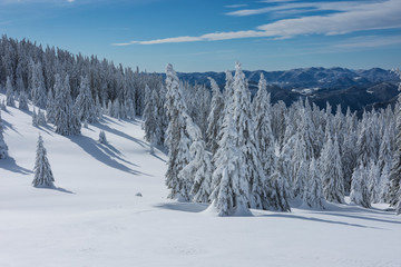Fototapeta premium Calm beautiful early morning in mountain. Nobody is on white snow. Selective focus. Winter landscape.