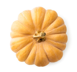 Pumpkin closeup on a white background. The view of top.