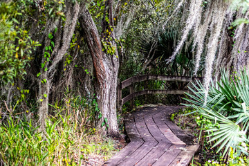 bayou trail