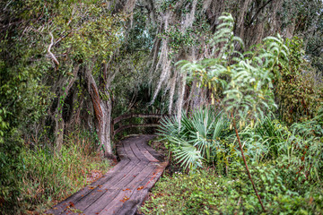 bayou trail