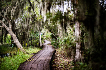 bayou trail