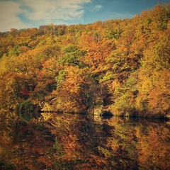 Obraz premium Beautiful autumn landscape. Natural colorful background