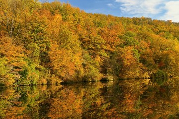 Beautiful autumn landscape. Natural colorful background