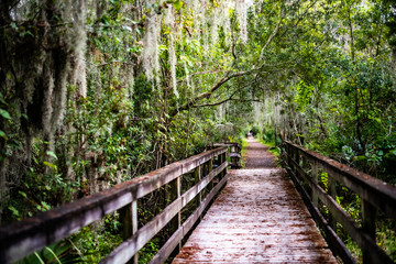 bayou trail foot bridge