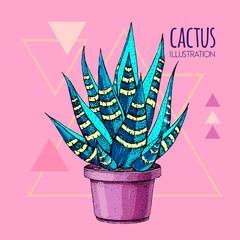Hand drawing blue fluorescent cactus vector illustration pink background