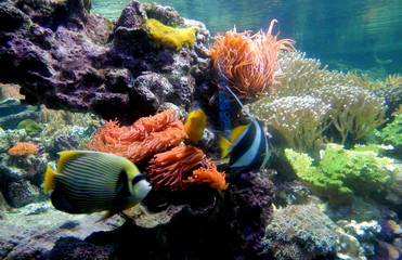 Acquario di Genova © provenza