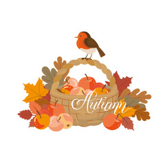 Greeting card with autumn decorative elements. Little bird sitting on a busket with apples
