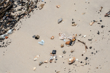 Debris and shells washed up from the ocean onto the sandy beach in Mississippi. Bokeh effect.