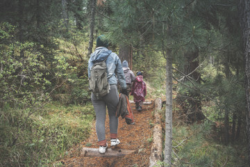 Fototapeta premium family in forest